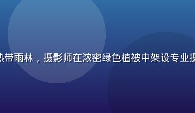 star tv 纪录片频道拍摄亚马逊热带雨林，摄影师在浓密绿色植被中架设专业摄影设备，光线穿透树冠形成丁达尔效应